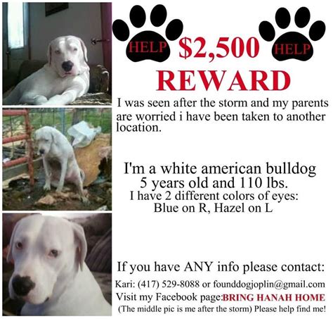Do NOT contact this poster with unsolicited services or offers. . Craigslist joplin pets